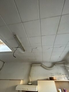 Property Survey and Inspection  image 8