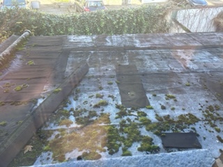 Property Survey and Inspection  image 5